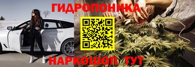 PSILOCYBIN Новодвинск