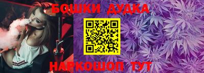 индика Новокубанск