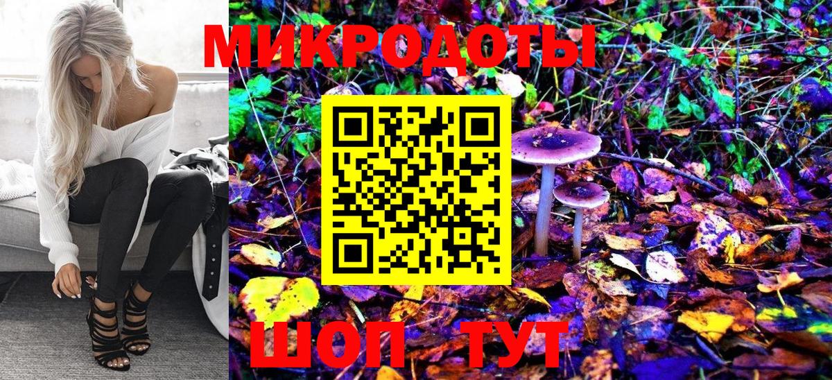 Галлюциногенные грибы Psilocybine cubensis  Галлюциногенные грибы прущие грибы  Вход с VPN  Тихвин 