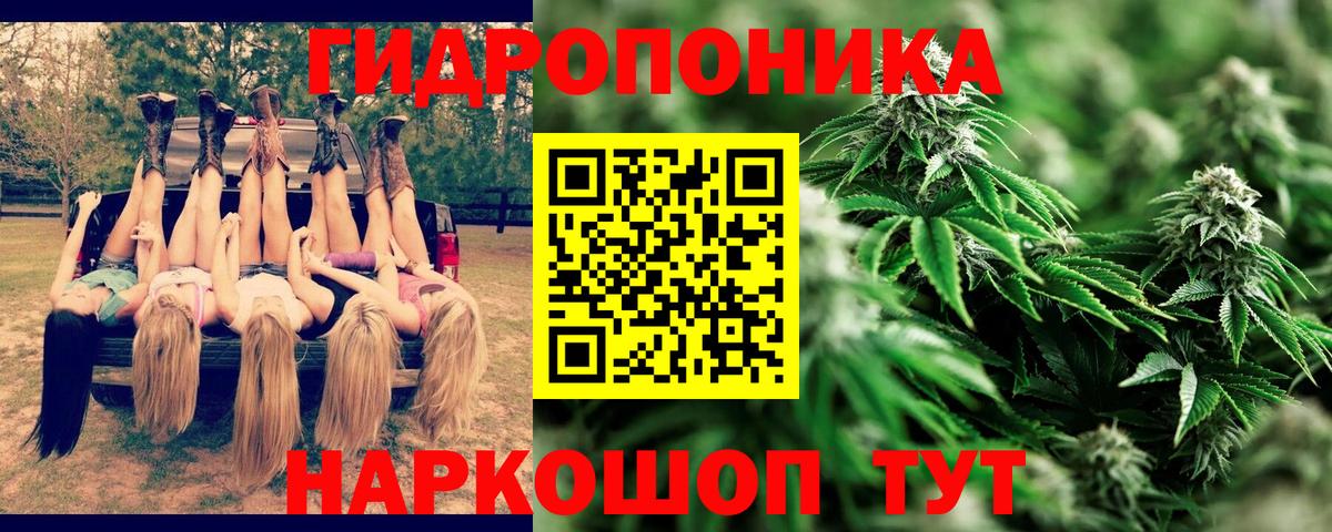 LSD-25 Тихвин